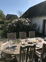Ferienhaus Heidelodge - Top-Hundeurlaub