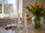 Dekoratives Detail - Amselhaus - Top-Hundeurlaub