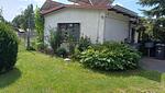 Ferienwohnung in Plau am See - Top-Hundeurlaub