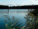 "Villa Frieda" Krakow am See - Top-Hundeurlaub