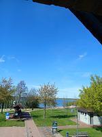Ferienhaus direkt an See & Strand - Top-Hundeurlaub