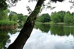 Ferienhaus nahe Stechlinsee - Top-Hundeurlaub