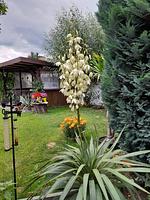 Ferienhaus im Spreewald - Top-Hundeurlaub