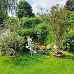Ferienhaus im Spreewald - Top-Hundeurlaub