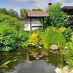 Ferienhaus im Spreewald - Top-Hundeurlaub