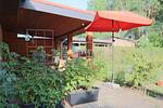 Ferienhaus in Zechow - Top-Hundeurlaub