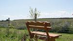 Ferienhaus Sonne - Top-Hundeurlaub