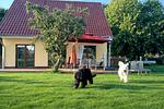 Ferienhaus Sonne - Top-Hundeurlaub