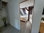 geraümige Wohnung im Grünen - Top-Hundeurlaub