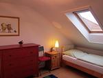 Residenz am Kurhaus 31 - Top-Hundeurlaub