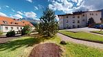 Abitaziun Aivla 1 - Celerina - Top-Hundeurlaub