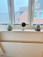 Dekoratives Detail - Ferienwohnung Insel - Auszeit Pellworm - Top-Hundeurlaub