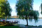 "Villa Frieda" Krakow am See - Top-Hundeurlaub