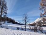 Abitaziun San Gian C5 - Silvaplana/Surlej "Loga Elegance" - Top-Hundeurlaub