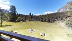 Abitaziun La Planüra 15 - Maloja - Top-Hundeurlaub
