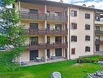Abitaziun La Planüra 11 - Maloja - Top-Hundeurlaub