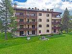 Abitaziun La Planüra 11 - Maloja - Top-Hundeurlaub