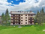 Abitaziun La Planüra 11 - Maloja - Top-Hundeurlaub
