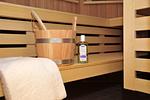 Sauna - Haus Doktor-Ross-Straße 31, Whg. 4 - Top-Hundeurlaub