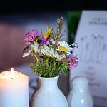 Hotel Kogler - Top-Hundeurlaub