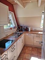 Arche - Top-Hundeurlaub