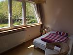 Arche - Top-Hundeurlaub