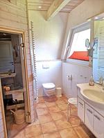Arche - Top-Hundeurlaub