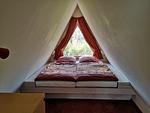 Arche - Top-Hundeurlaub