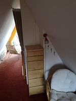 Arche - Top-Hundeurlaub