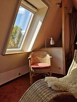 Arche - Top-Hundeurlaub