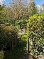 Arche - Top-Hundeurlaub