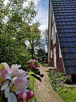 Arche - Top-Hundeurlaub