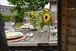 Fischerkate - Top-Hundeurlaub