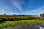 Auszeit - Top-Hundeurlaub