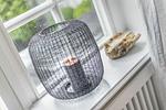 Dekoratives Detail - Ahoi - Top-Hundeurlaub