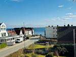 Meerblick - Robbe - Top-Hundeurlaub