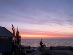 Robbe-21 - Robbe - Top-Hundeurlaub