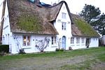 Vogelkoje EG - Top-Hundeurlaub