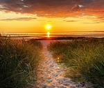 Strand - Frische Brise 704 - Top-Hundeurlaub
