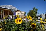 Sonnenplateau Camping Gerhardhof - Top-Hundeurlaub