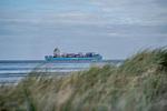 Strand - Strandliebe (47.0.N) - Top-Hundeurlaub