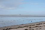 Strand - Strandliebe (47.0.N) - Top-Hundeurlaub