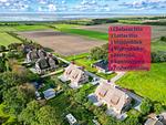 Landschaft - Reetruhe - Top-Hundeurlaub