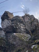 Gasthaus Pension Maßen - Top-Hundeurlaub