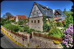 SPA Resort Landlust Dresden - Top-Hundeurlaub