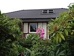 Bungalow Seestern B - Top-Hundeurlaub
