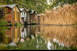 Ferienhaus Tamika am Tollensesee - am Tollensesee - Tamika - Top-Hundeurlaub
