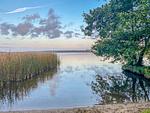 Ferienhaus Tamika am Tollensesee - am Tollensesee - Tamika - Top-Hundeurlaub
