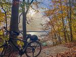 Ferienhaus Tamika am Tollensesee - Radweg am Tollensesee - Tamika - Top-Hundeurlaub