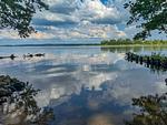 Ferienhaus Tamika am Tollensesee - traumhafte Natur - Tamika - Top-Hundeurlaub